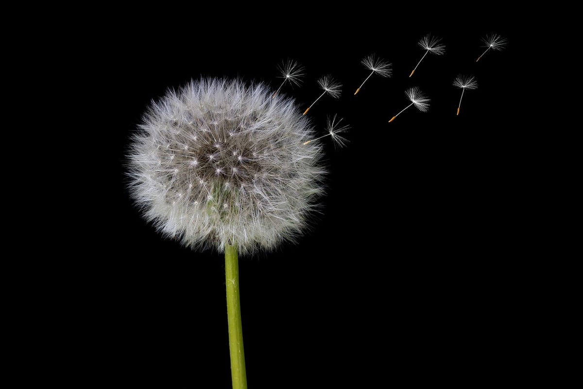 Bouillotte graine de lin sans micro-onde : 5 méthodes naturelles en 2026