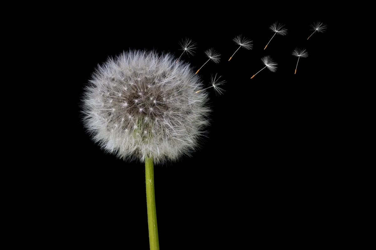 Bouillotte graine de lin sans micro-onde : 5 méthodes naturelles en 2026