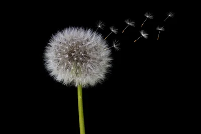 Bouillotte graine de lin sans micro-onde : 5 méthodes naturelles en 2026