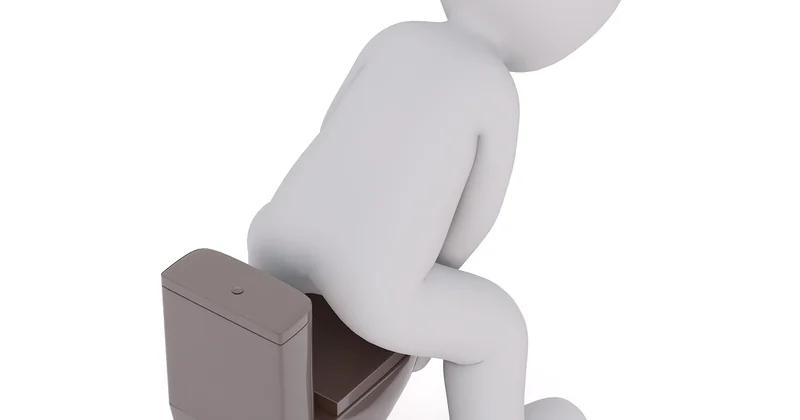 Identifier le type de ver : le premier pas vers la solution