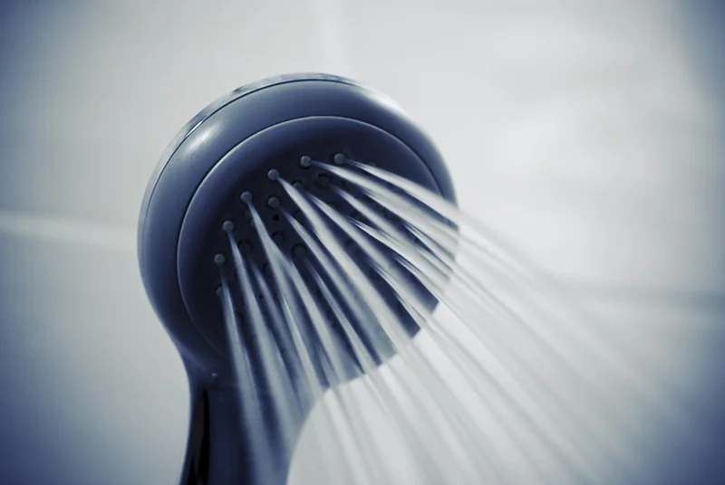 Comment se débarrasser des vers dans les toilettes ?